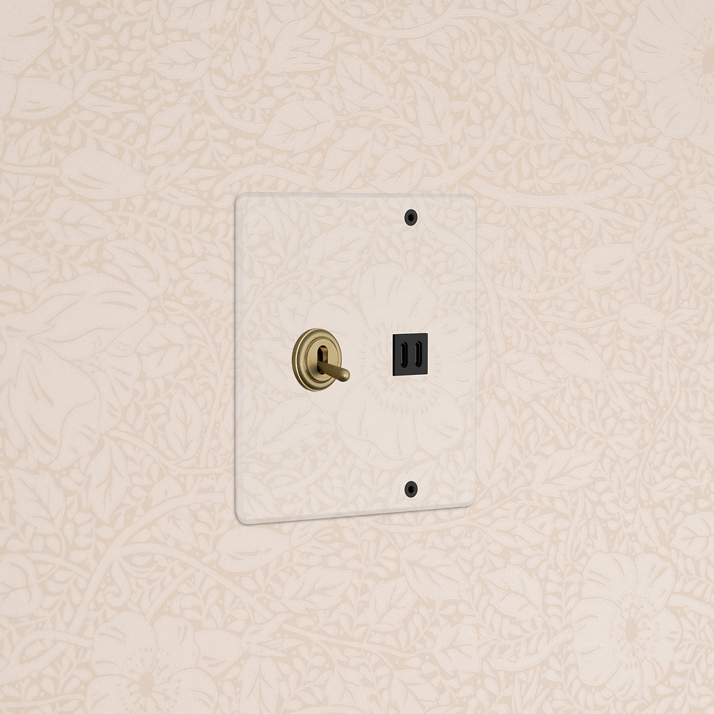 Kew 2G Toggle Switch & Fast Charge USB - Clear Antique Brass Black