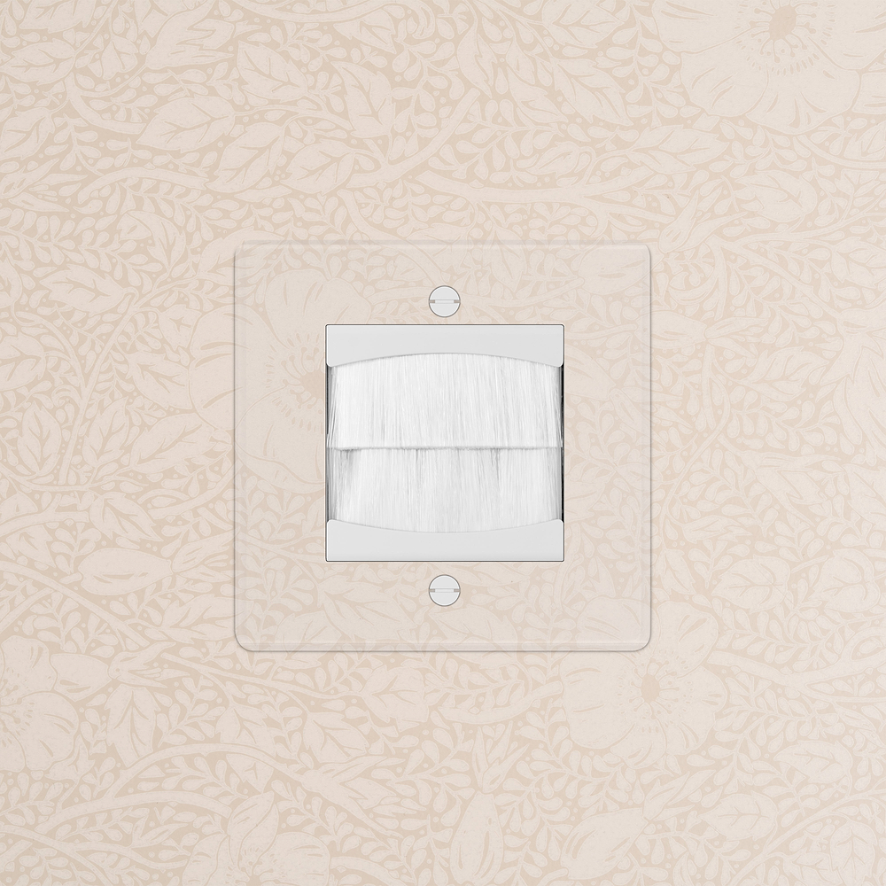 Single Brush Plate - Clear | White