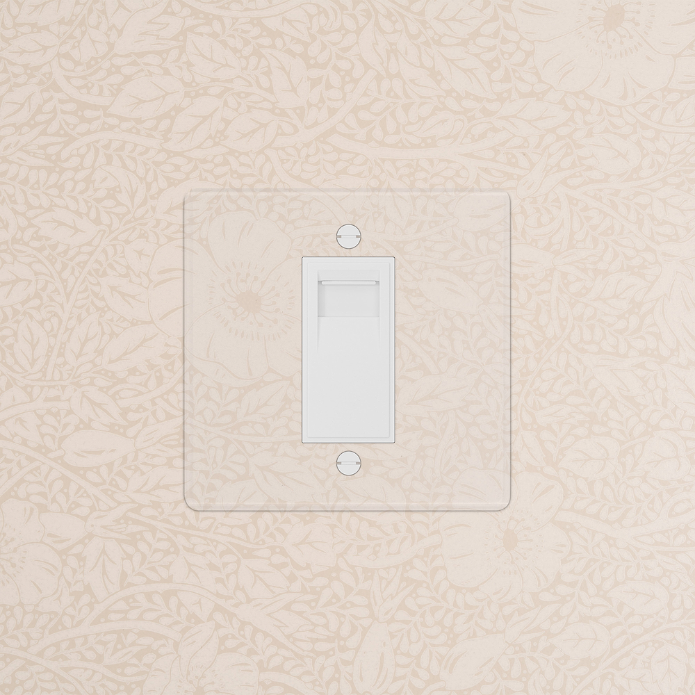 Single BT Master Socket - Clear | White