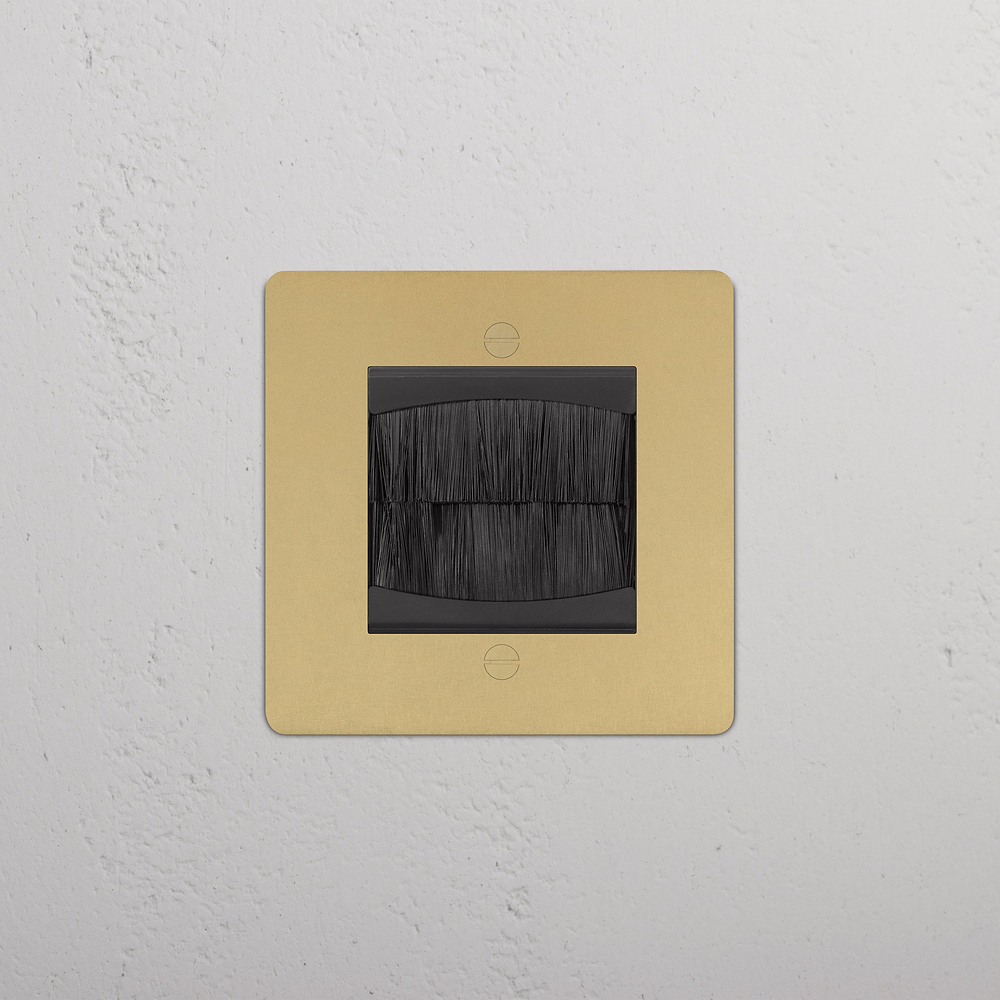Single Brush Plate - Antique Brass | Black