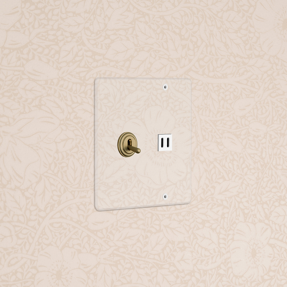 Kew 2G Toggle Switch & Fast Charge USB - Clear Antique Brass White