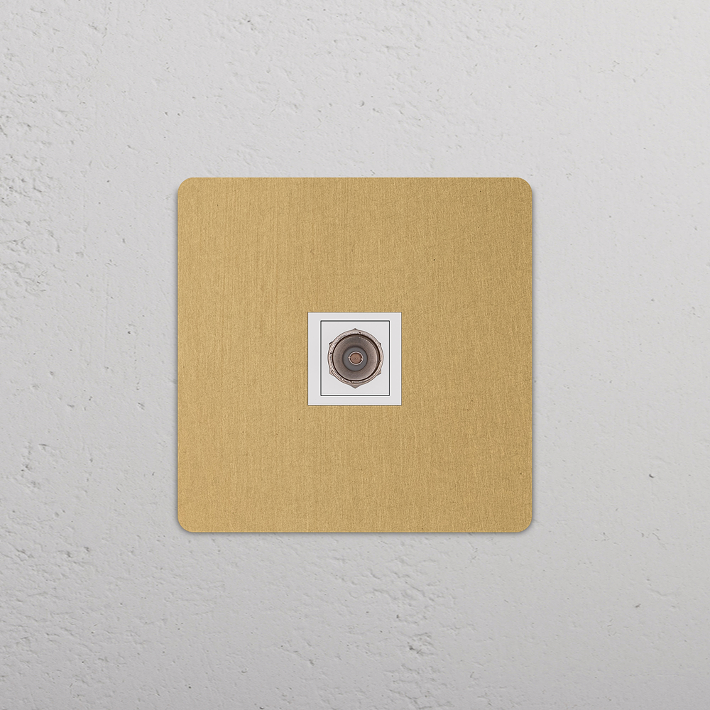 Grove Single TV Socket - Antique Brass | White