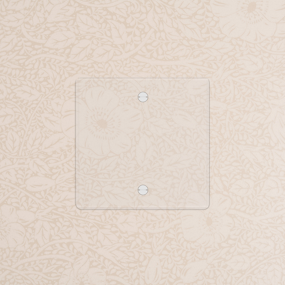 Single Blank Plate - Clear | White