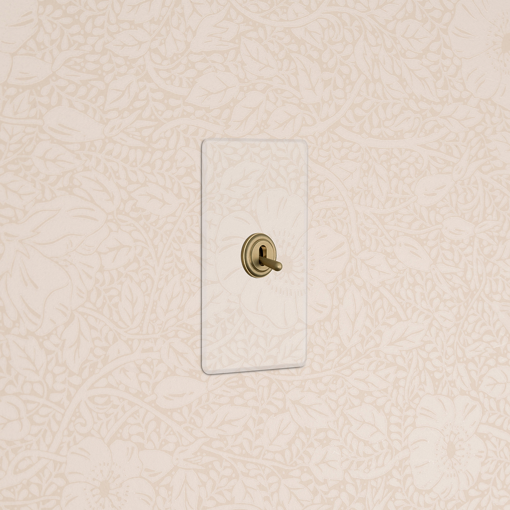 Kew 1G Toggle Switch - Clear Antique Brass