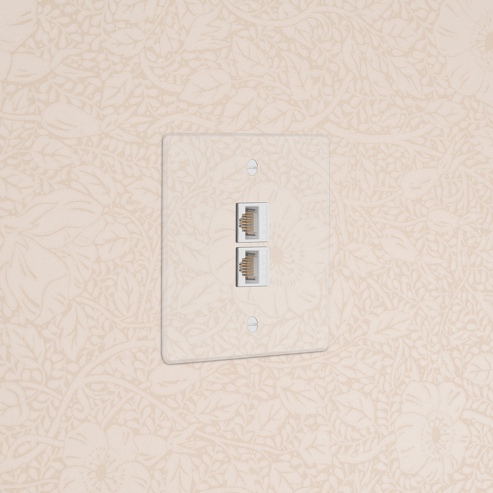 Single 2x CAT6 - Clear | White