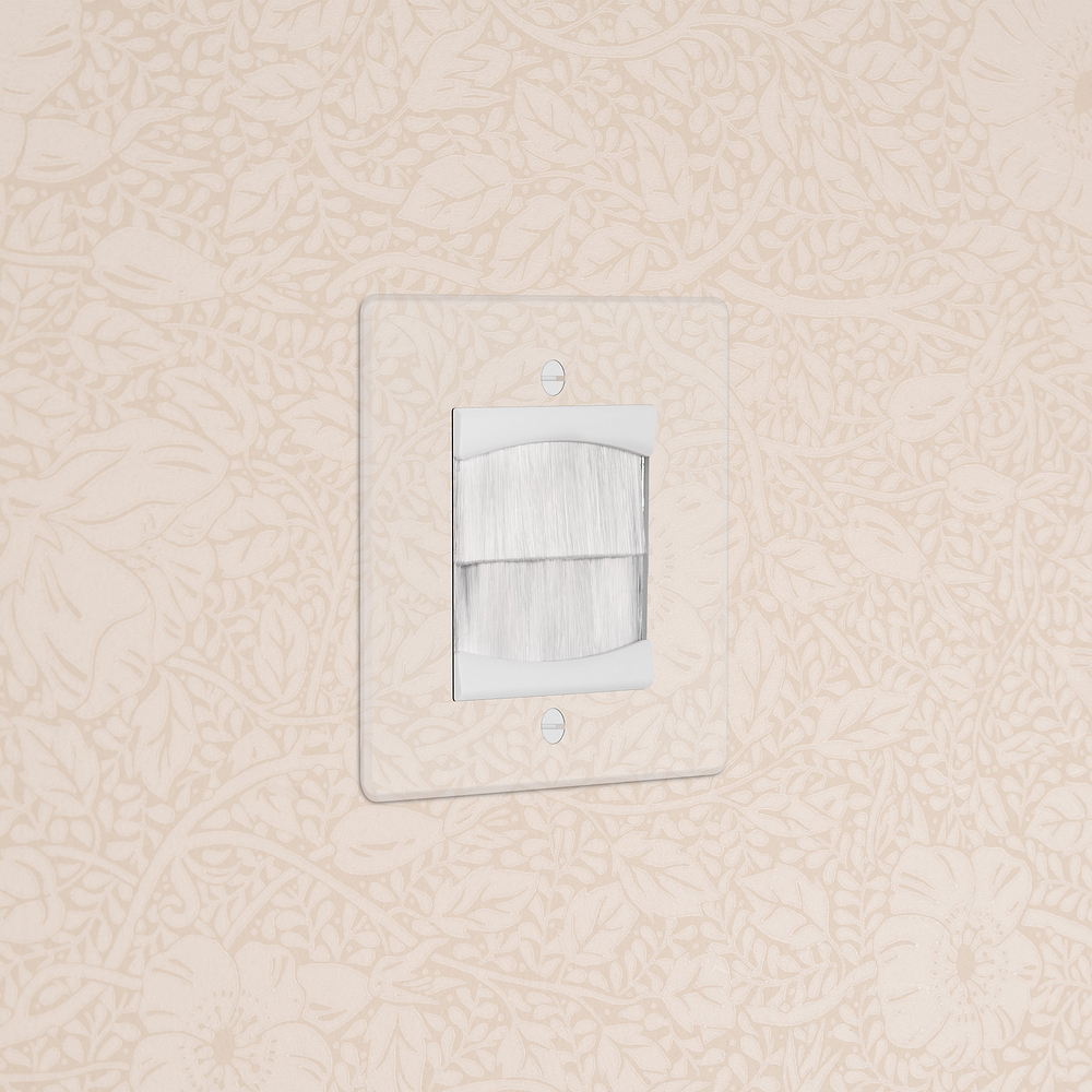 Single Brush Plate - Clear | White