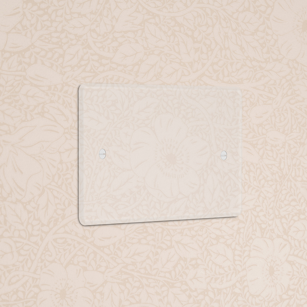 Double Blank Plate - Clear | White