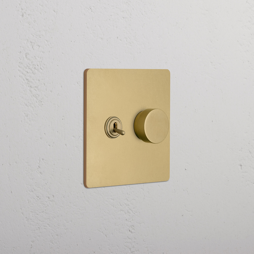Grove 2G Toggle & Dimmer Switch - Antique Brass