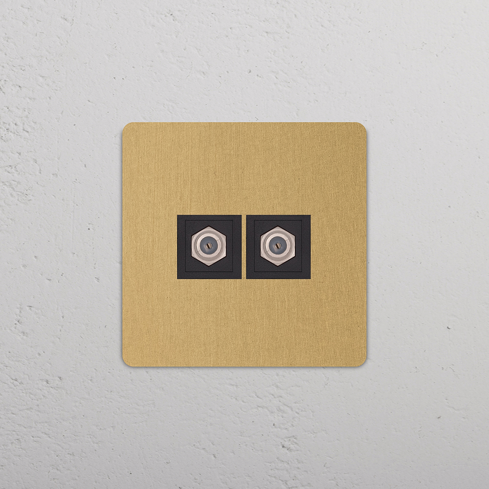 Grove Single 2x Satellite Socket - Antique Brass | Black