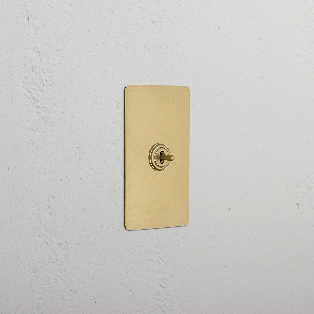 Kew 1G Center Retractive Toggle Switch - Antique Brass