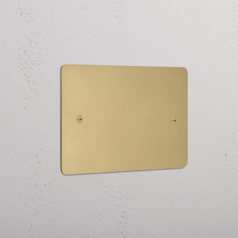 Double Blank Plate - Antique Brass