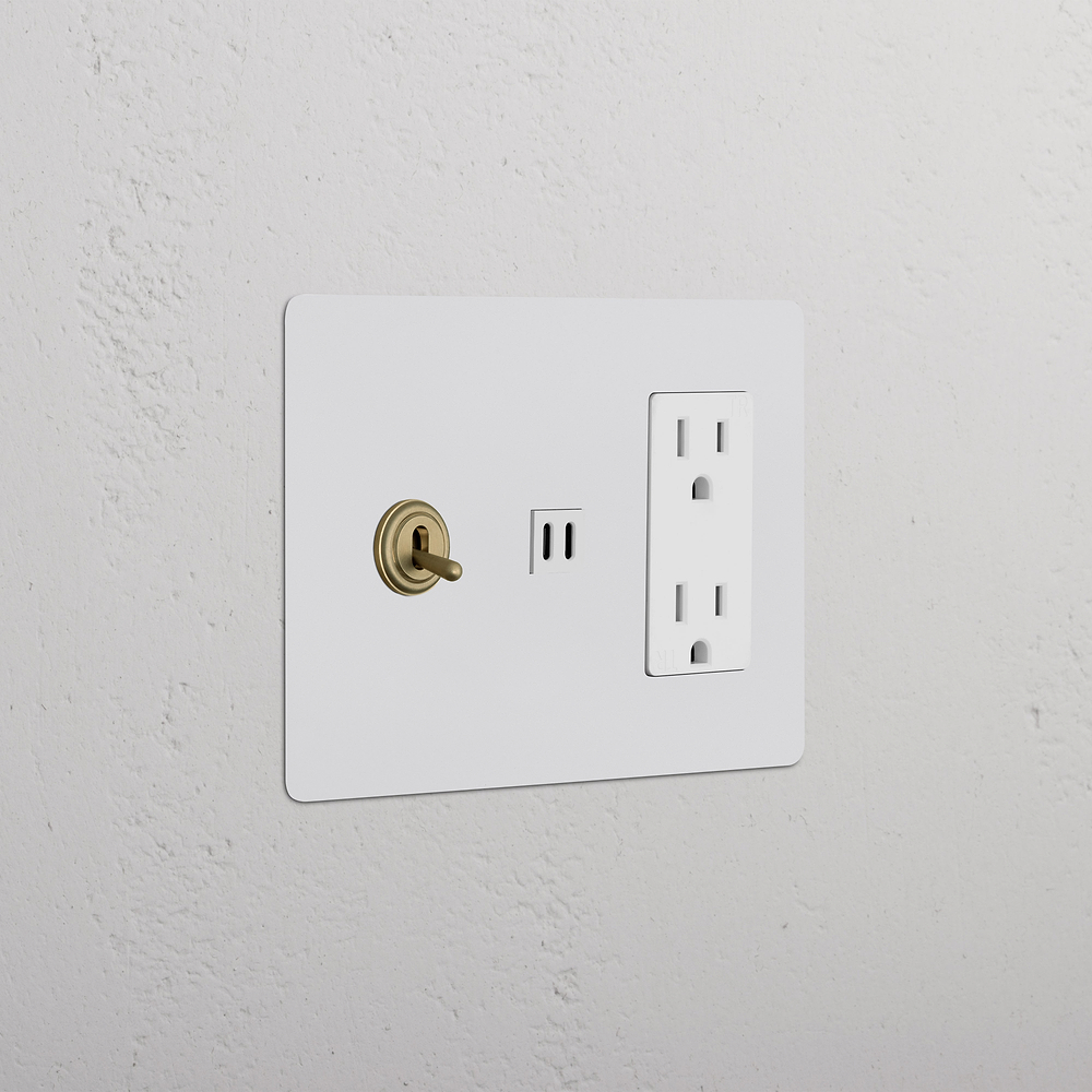 Kew 3G Toggle Switch & Outlet & Fast Charge USB - Paintable Antique Brass White