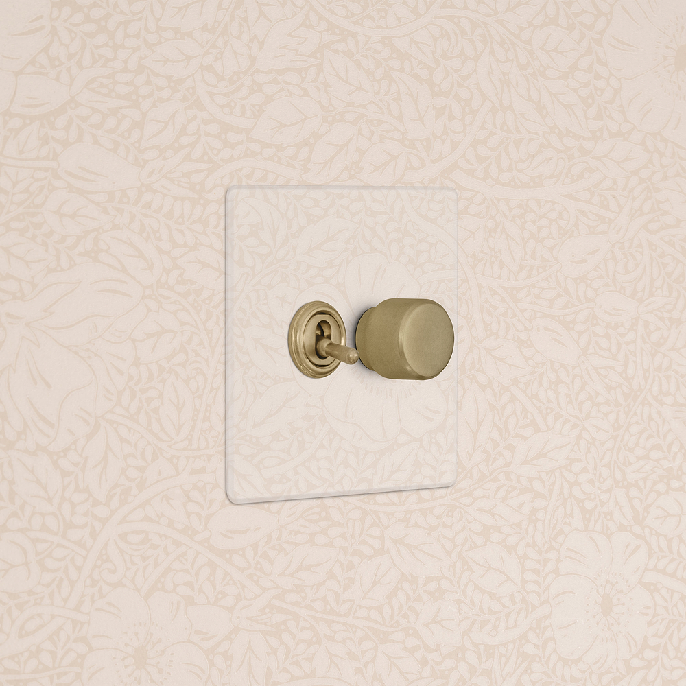 2G Toggle Switch & Dimmer Switch - Clear Antique Brass