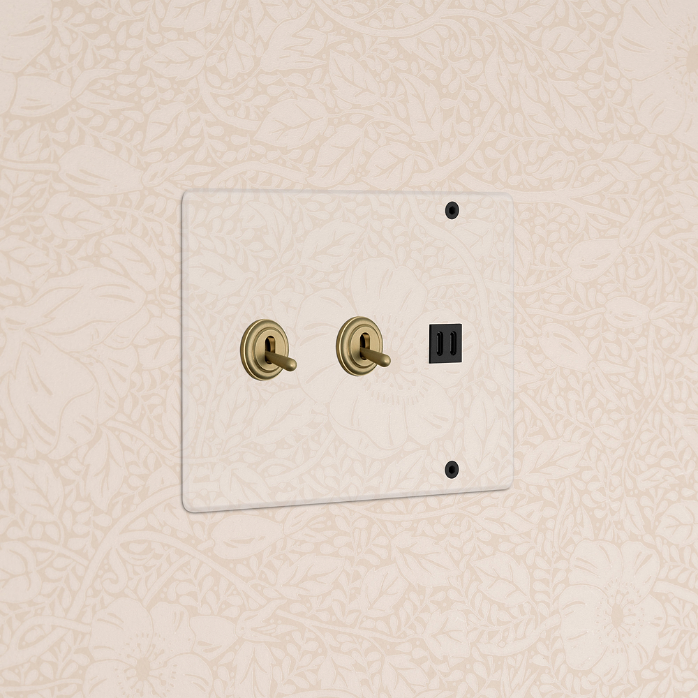 Kew 3G 2x Toggle Switch & Fast Charge USB - Clear Antique Brass Black