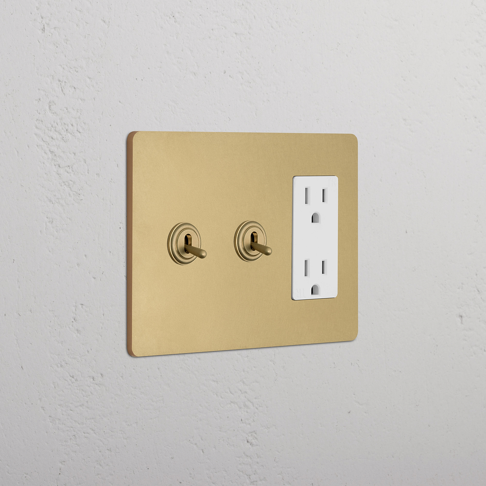 Grove 3G 2x Toggle Switch & Outlet - Antique Brass White