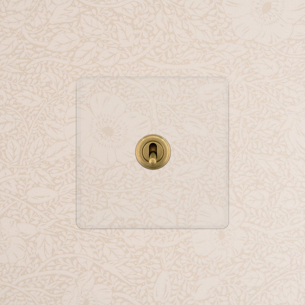 Kew Permutateur à Levier (Plaque Simple) – Laiton Ancien à Transparence