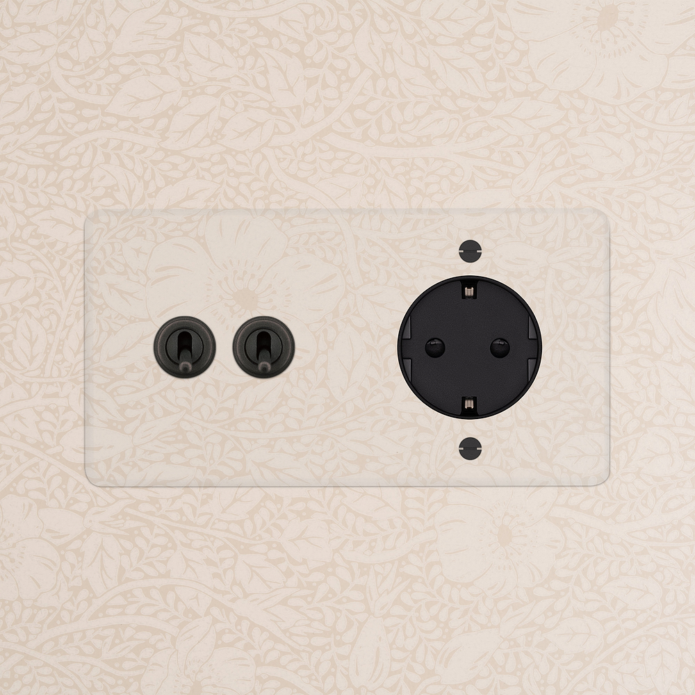 Kew Interrupteur à Levier x2 & Prise Schuko Type F (Plaque Double) – Bronze à Transparence | Noir