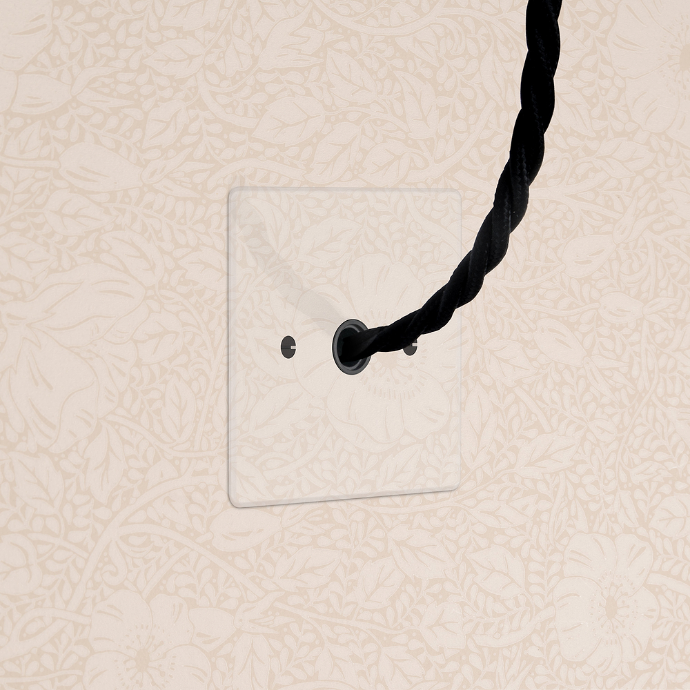 Single Flex Outlet - Clear | Black
