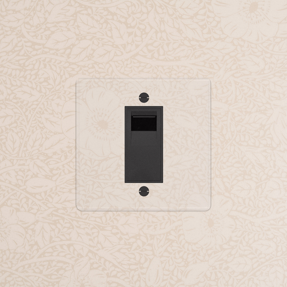 Single BT Master Socket - Clear | Black