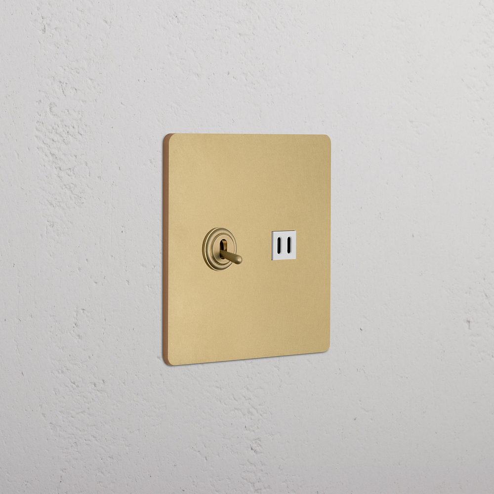 Grove 2G Toggle Switch & Fast Charge USB - Antique Brass White