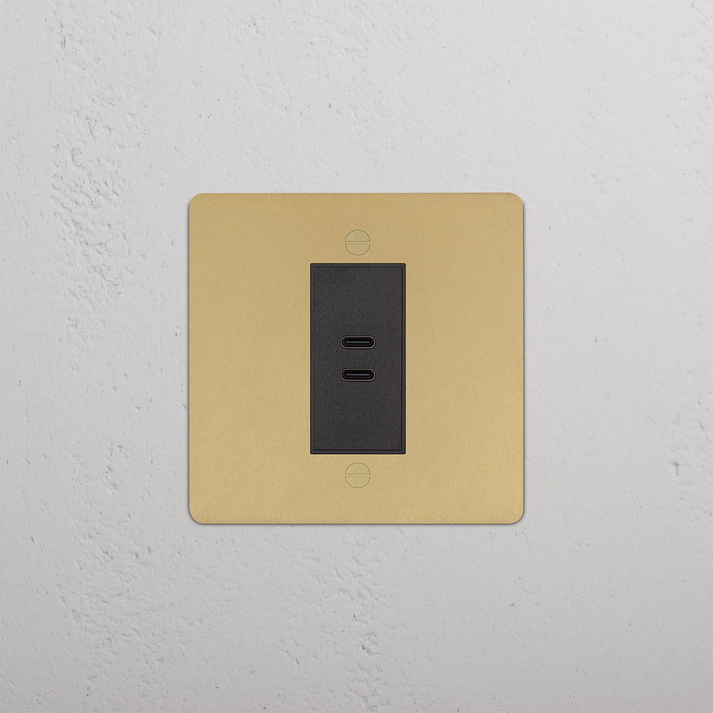 Single USB-C+C Socket - Antique Brass | Black