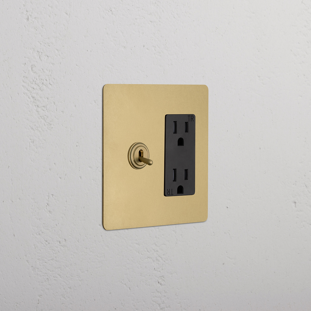 Kew 2G Toggle Switch & Outlet - Antique Brass Black
