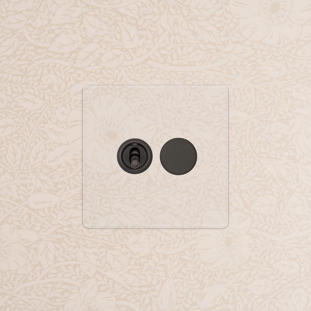 2G Toggle Switch & Dimmer Switch - Clear Bronze