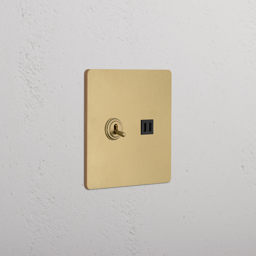 Grove 2G Toggle Switch & Fast Charge USB - Antique Brass Black