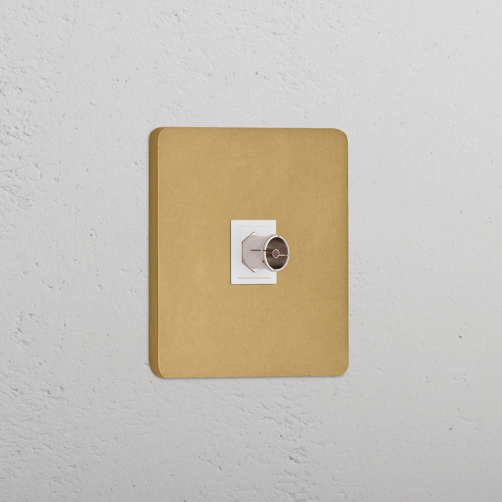 Grove Single TV Socket - Antique Brass | White