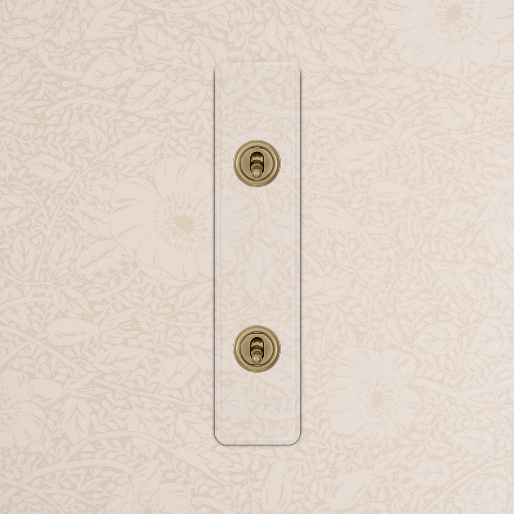 2G Architrave Two Way Toggle Switch - Clear Antique Brass  