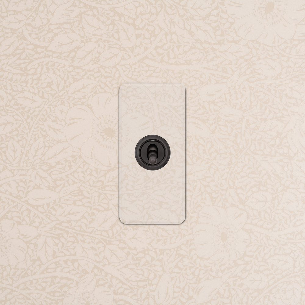 1G Architrave Two Way Toggle Switch - Clear Bronze