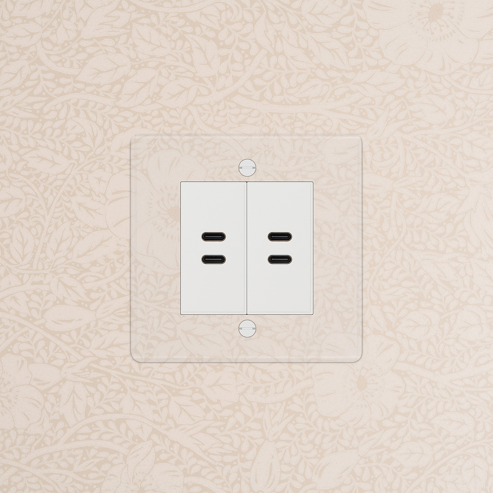 Single 2x USB-C+C Socket - Clear | White