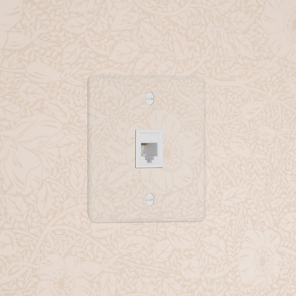 Kew Prise RJ45 (Plaque Simple) – Transparence | Blanc