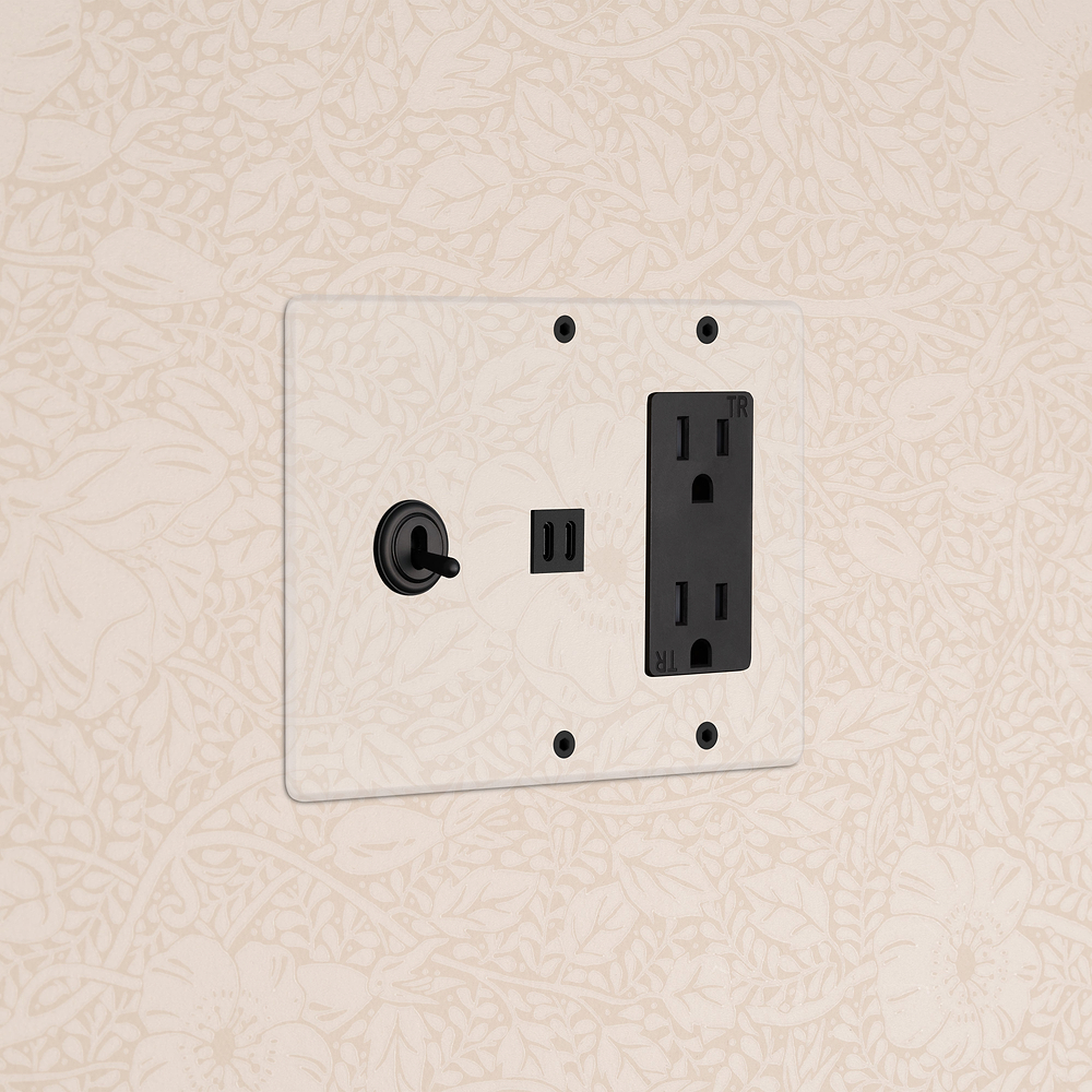 Kew 3G Toggle Switch & Outlet & Fast Charge USB - Clear Bronze Black