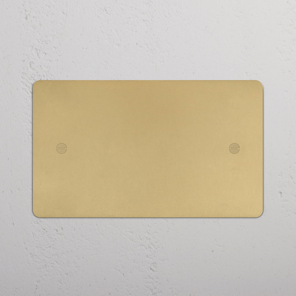 Double Blank Plate - Antique Brass