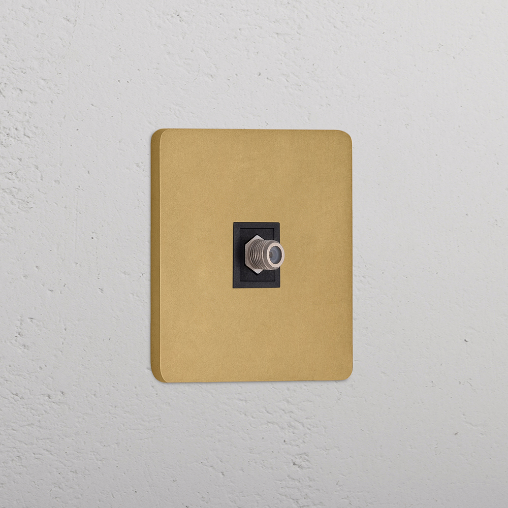 Grove Single Satellite Socket - Antique Brass | Black