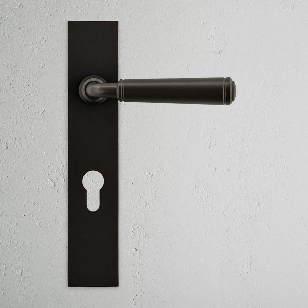 Digby Long Plate Unsprung Door Handle & Euro Lock – Bronze