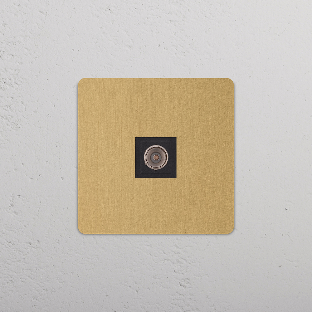 Grove Single TV Socket - Antique Brass | Black