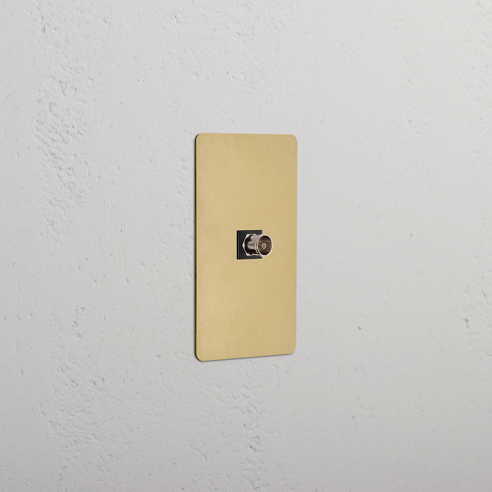 Kew 1G TV Keystone - Antique Brass Black