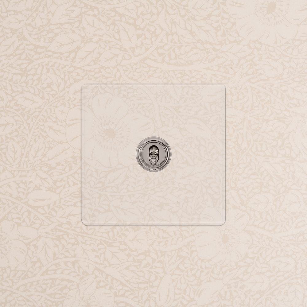 1G Two Way Toggle Switch - Clear Polished Nickel
