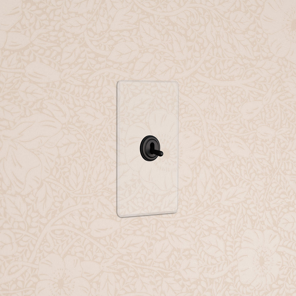 Kew 1G Double Pole Toggle Switch - Clear Bronze