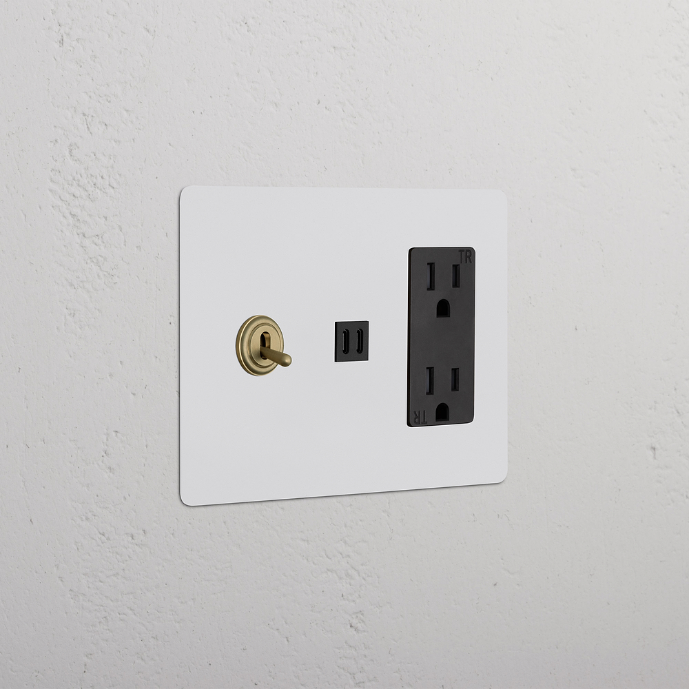 Kew 3G Toggle Switch & Outlet & Fast Charge USB - Paintable Antique Brass Black
