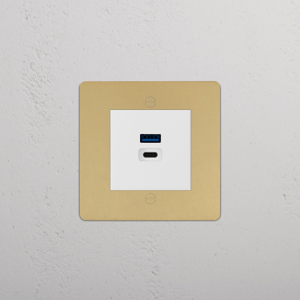 Single USB A+C Fast Charge Socket - Antique Brass | White