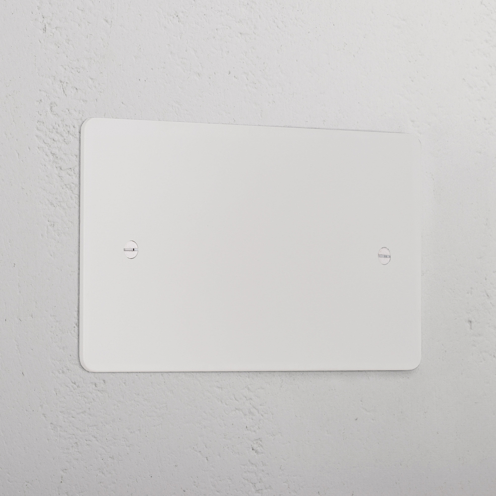 Double Blank Plate - Paintable