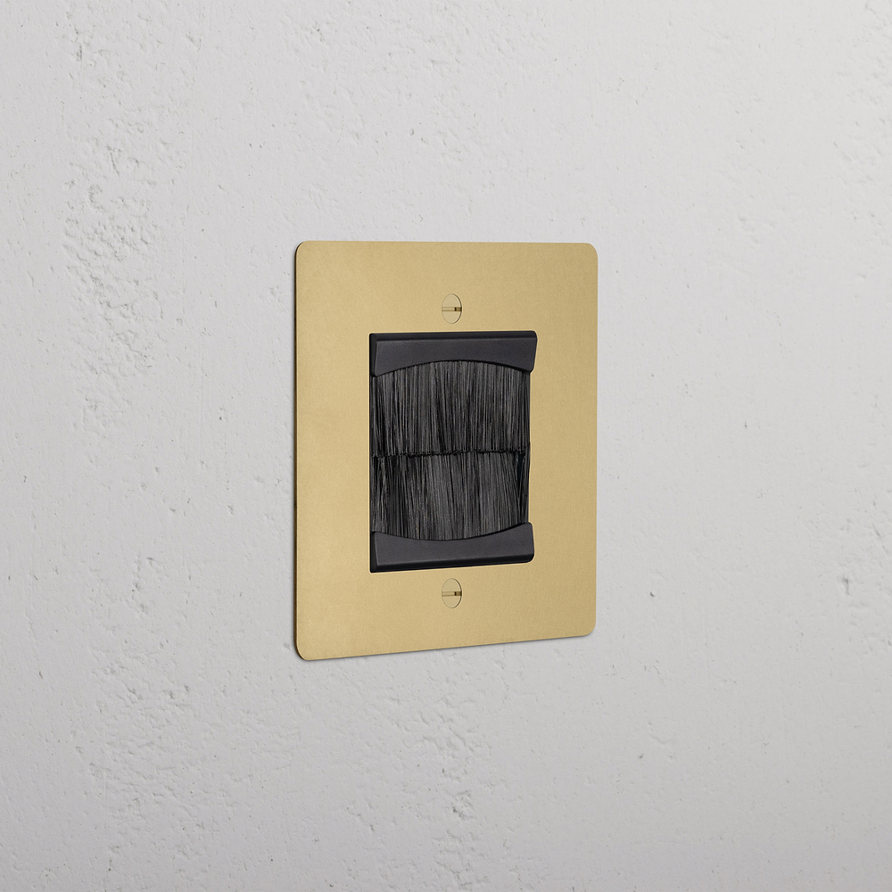 Single Brush Plate - Antique Brass | Black