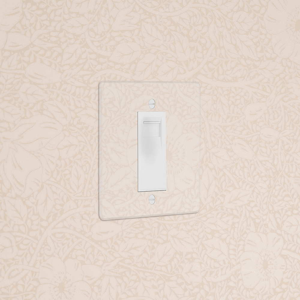 Single BT Master Socket - Clear | White