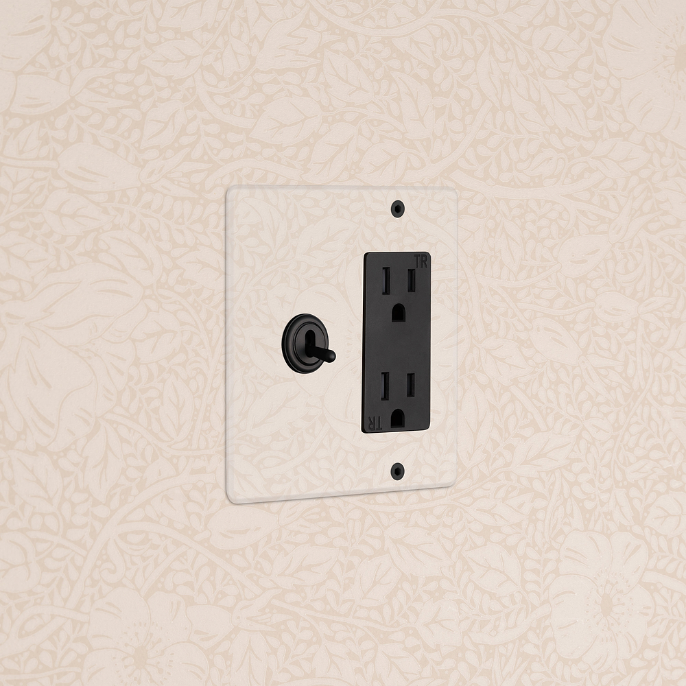 Kew 2G Toggle Switch & Outlet - Clear Bronze Black