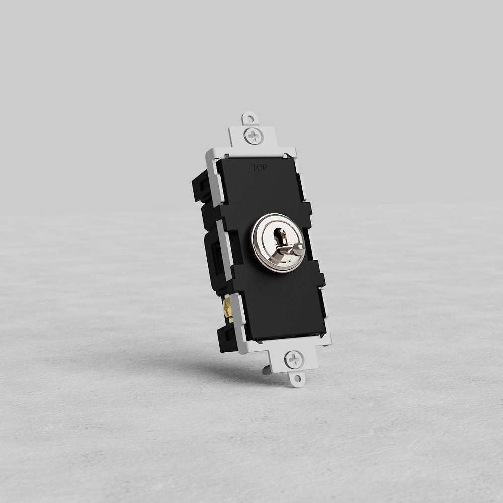 Double Pole Toggle Switch - Polished Nickel