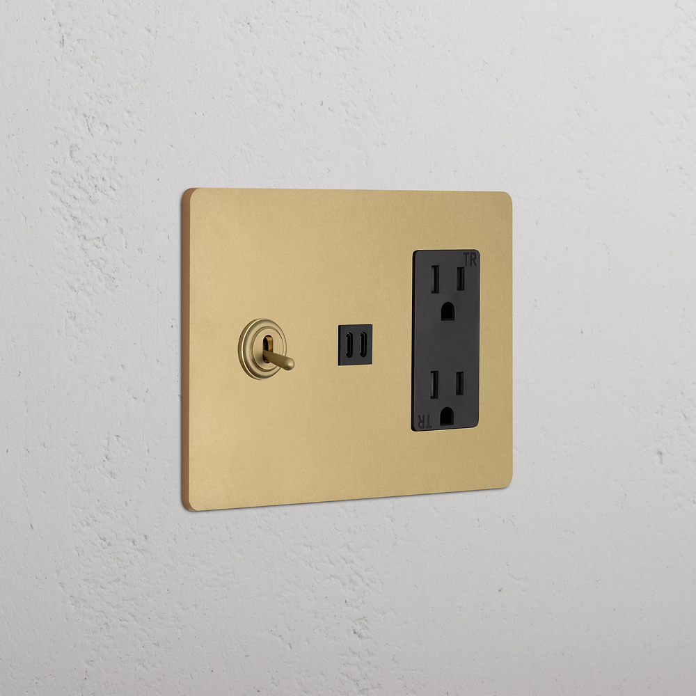 Grove 3G Toggle Switch & Outlet & Fast Charge USB - Antique Brass Black