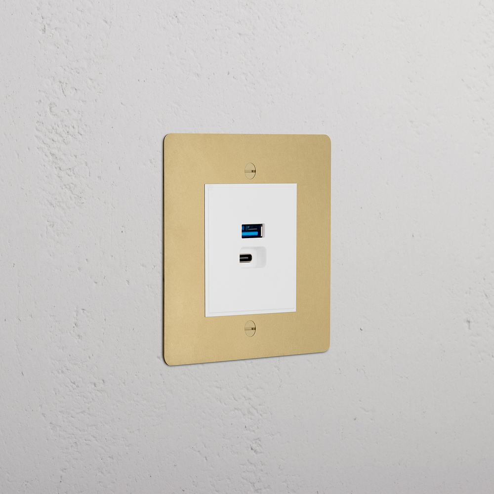 Single USB A+C Fast Charge Socket - Antique Brass | White